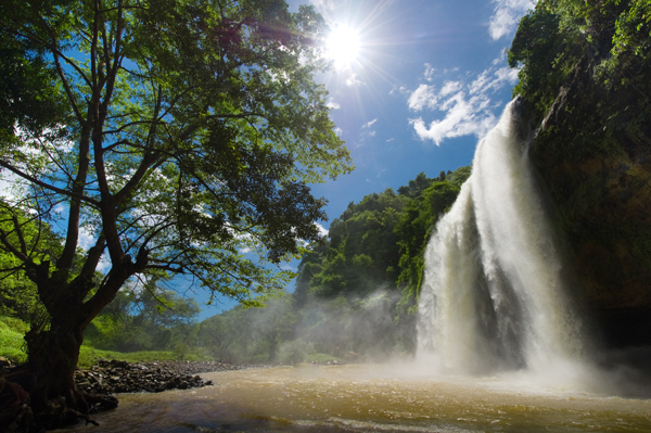 SCENERY mountain`SN 137